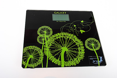 Весы напольные Galaxy GL 4802