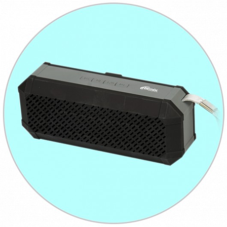 Колонка универсальная Ritmix SP-260B